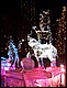 100_2204.JPG