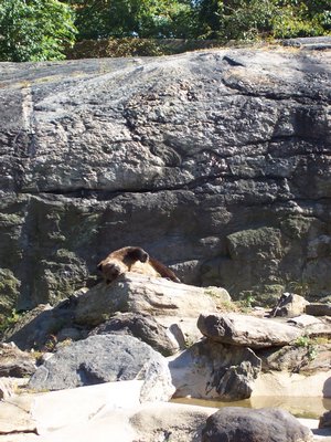 100_1334.JPG