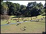 100_1340.JPG