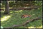 100_1341.JPG