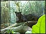 100_1358.JPG