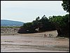 IMG_1386.jpg
