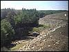 IMG_1785.jpg