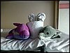 P1000361.jpg