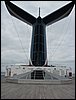 IMG_0533.jpg