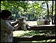 100_1046.JPG
