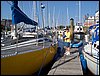100_0803.JPG
