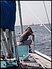 100_0945.JPG