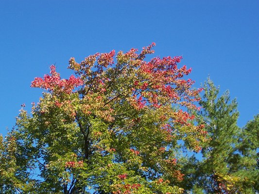 100_1274.JPG