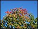 100_1274.JPG
