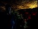 100_1284.JPG