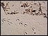 100_1630.JPG