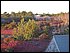 100_1640.JPG