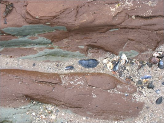 IMG_9434.jpg