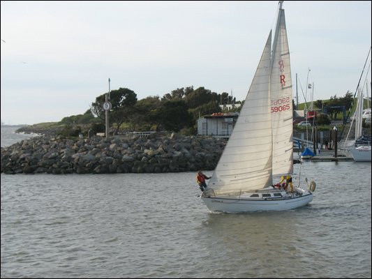 IMG_7685.jpg