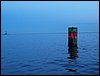 100_0571.JPG