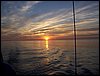 100_0580.JPG