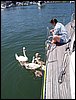 100_0583.JPG