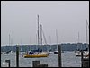 100_0597.JPG