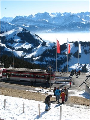 IMG_7336.jpg