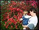 100_3588.JPG
