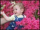 100_3597.JPG
