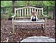 100_3606.JPG
