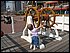 IMG_1142.jpg