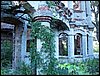IMG_1313.jpg