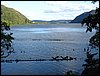 IMG_1327.jpg