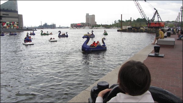 IMG_9164.jpg