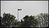 IMG_9126.jpg