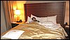 IMG_9187.jpg