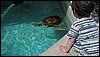 IMG_9497.jpg