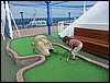 IMG_0083.jpg