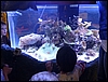 P1030736.jpg