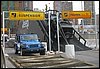 IMG_1241.jpg