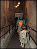 IMG_2278.jpg