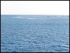 IMG_2389.jpg