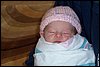 100_2333.JPG