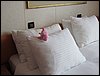 IMG_4441.jpg