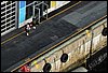 IMG_4535.jpg