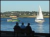 IMG_4550.jpg