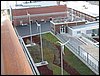 IMG_4606.jpg