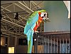 IMG_4659.jpg
