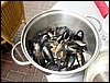 IMG_4736.jpg