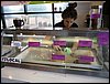 IMG_4774.jpg