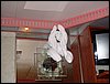 IMG_4839.jpg