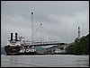 IMG_2315.jpg