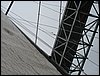IMG_2339.jpg